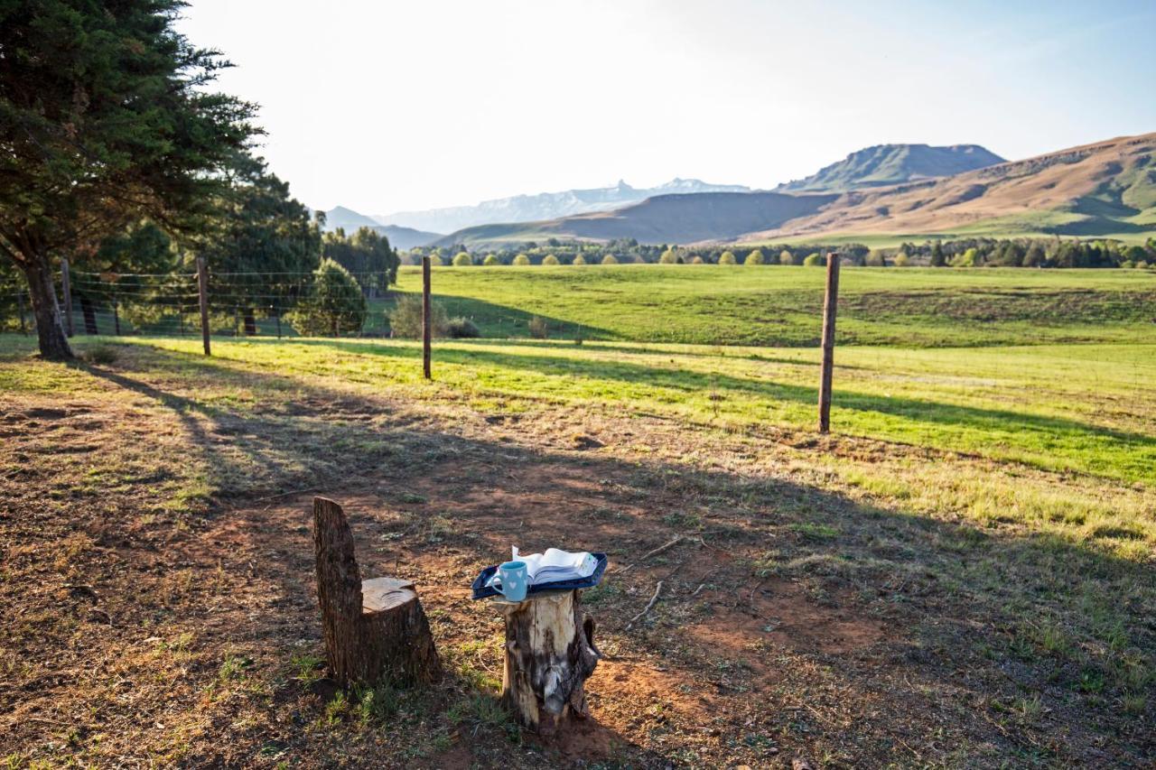 Oak Ridge Guest House Underberg Exterior foto