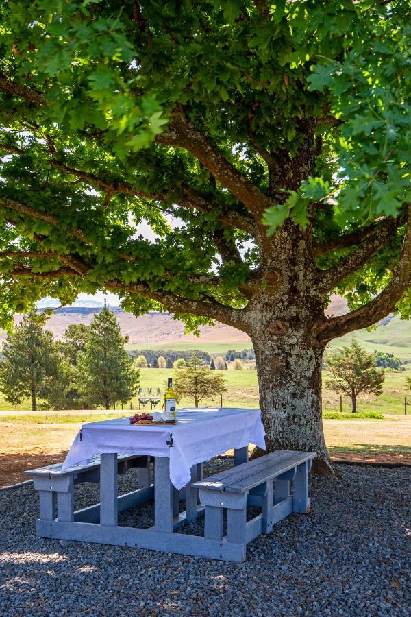 Oak Ridge Guest House Underberg Exterior foto